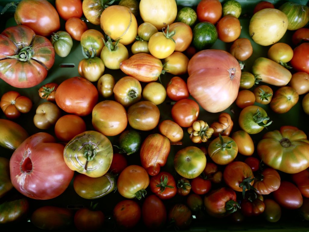 Tomates de Laurent Cazottes